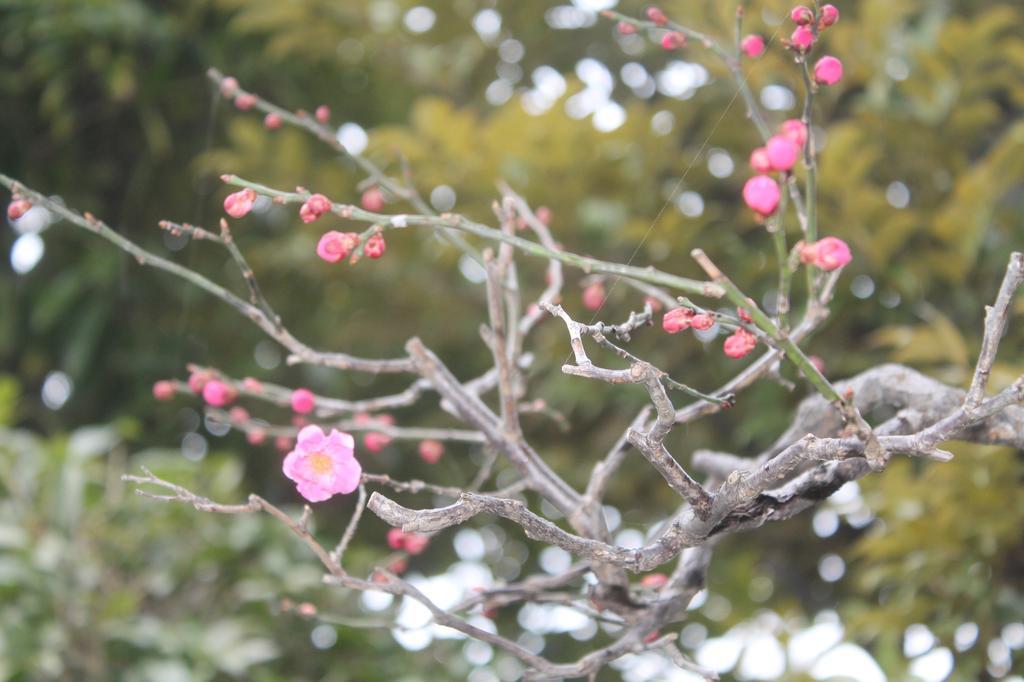 Kinugawa Onsen Sanraku Ξενοδοχείο Nikko Εξωτερικό φωτογραφία