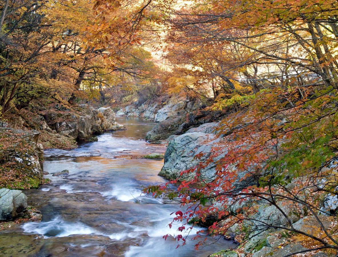 Kinugawa Onsen Sanraku Ξενοδοχείο Nikko Εξωτερικό φωτογραφία